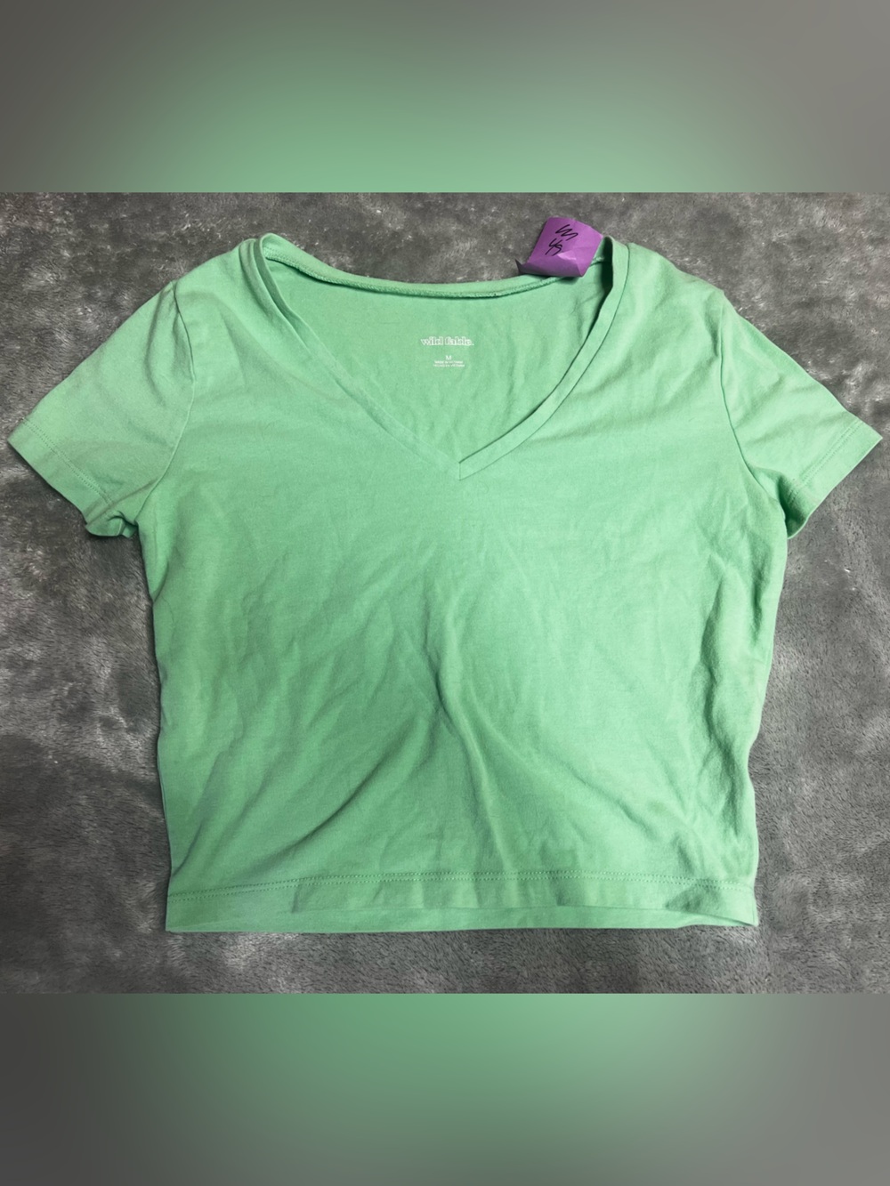 wild fable Mint Green V-Neck Cropped Tee